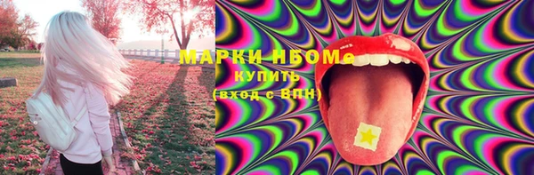 стаф Вяземский