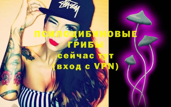 стаф Вяземский