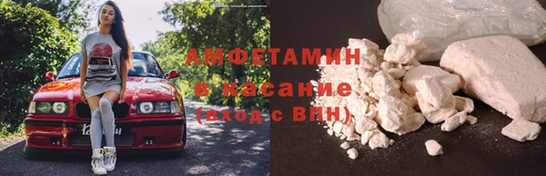 стаф Вяземский
