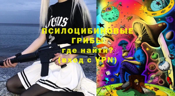 стаф Вяземский