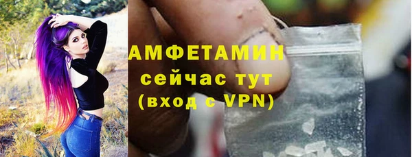 стаф Вяземский
