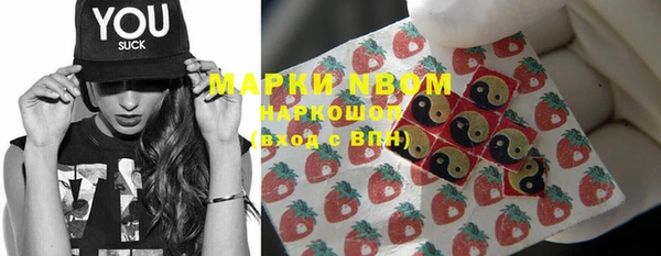 стаф Вяземский