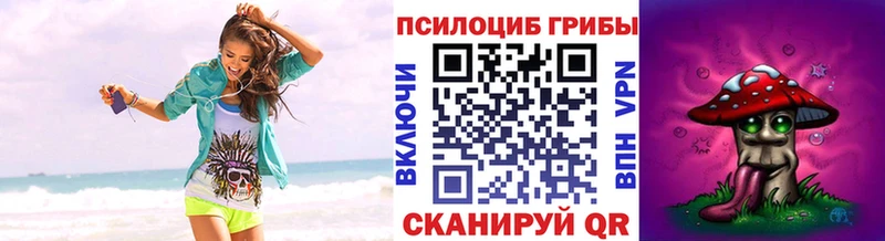 Галлюциногенные грибы Magic Shrooms  Владимир 