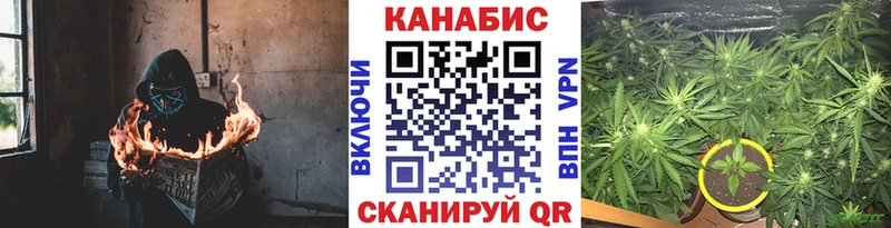 цена наркотик  Владимир  darknet какой сайт  Шишки марихуана THC 21% 